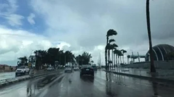 <p><strong>الموسم الجديد..</strong> تعرف على اليوم المحدد لانطلاق فصل الشتاء هذا العام</p>